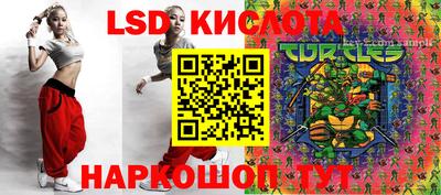 мдпв Новозыбков