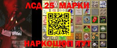 мдпв Новозыбков