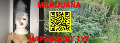 мдпв Новозыбков