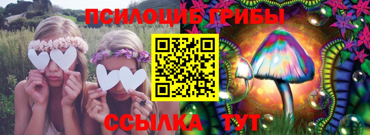 Среднеуральск  Галлюциногенные грибы Magic Shrooms  Вход с VPN  Псилоцибиновые грибы GOLDEN TEACHER 